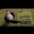 Tommy_Knyaz