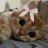 Sanua_Borisov