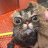 Dasha_Bennets