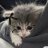 Dasha_Krop