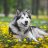 Danya_Bradford