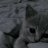 Anatoliy_Bulgarin
